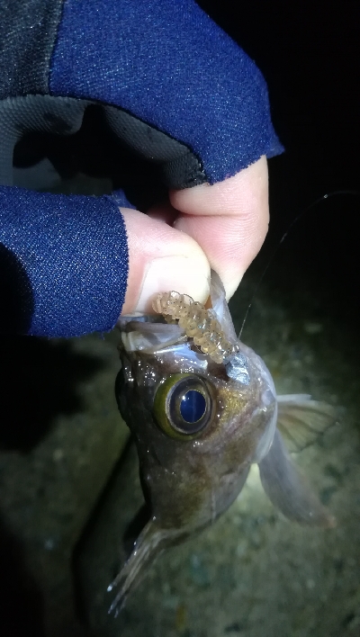 ナイトメバリング