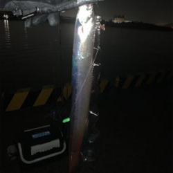 太刀雨中(タチウチュウ)