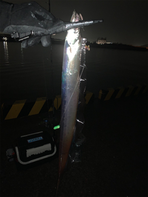 太刀雨中(タチウチュウ)