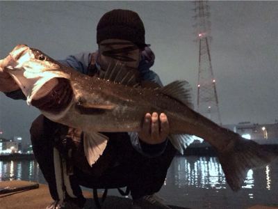 仕事帰りシーバス