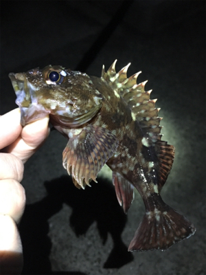 雨上がりのライトゲーム