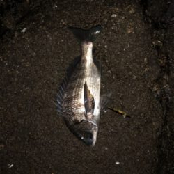 予想外に寒いっ