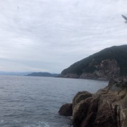 マルヒサ渡船 グレ釣り&平政