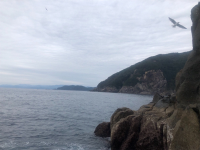 マルヒサ渡船 グレ釣り&平政