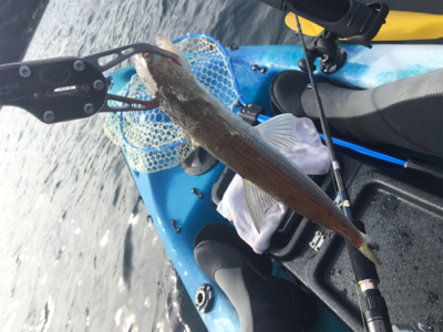 渋い日が続きます。