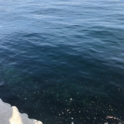 デーメバリング