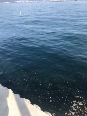 デーメバリング