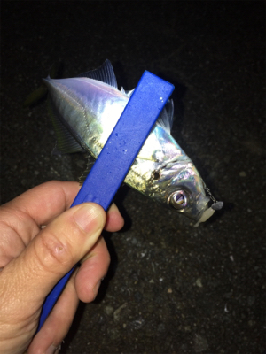 雨のライトゲーム