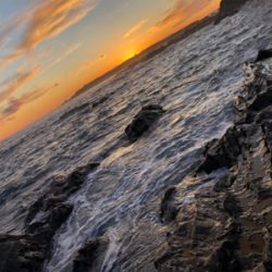 三浦半島　ヒラスズキ