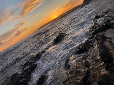 三浦半島　ヒラスズキ