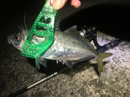 平日３時間サービスタイム！