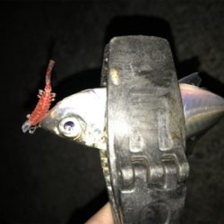 2020ライトゲーム第2戦