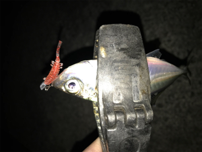 2020ライトゲーム第2戦