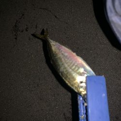 南蛮漬け子供のおやつに