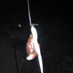 ゴロタdeフロート