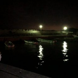 初フィッシング！