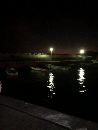 初フィッシング！