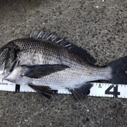 イチノ兄弟、釣果！