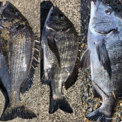 イチノ兄弟、釣果!