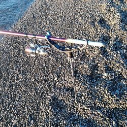 残念小型でした(#^^#)