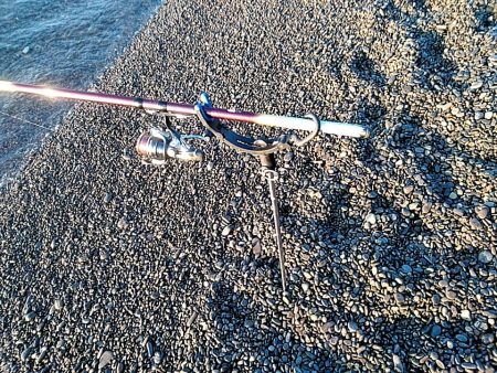 残念小型でした(#^^#)