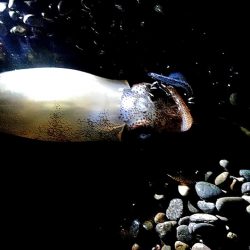 大きくなってきましたね(^^)