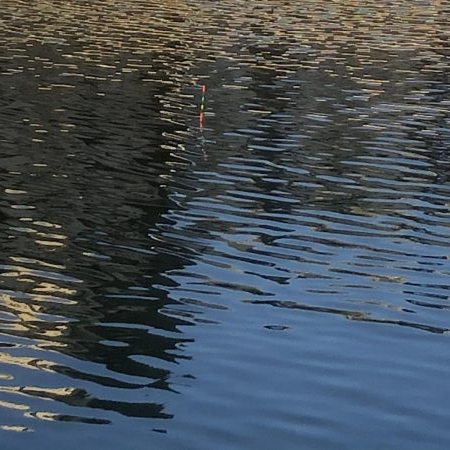 エビ撒き時合は突然に！