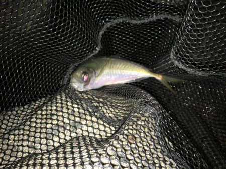 今年も良いスタートです