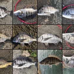 イチノ兄弟、釣果!