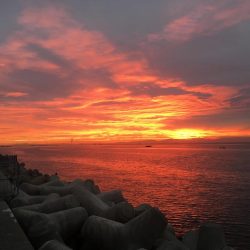 タンコブゲーム