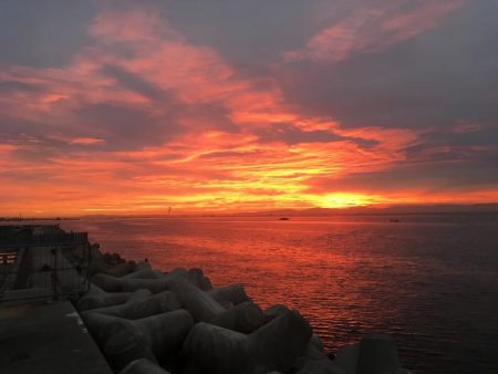 タンコブゲーム