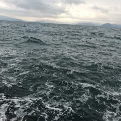 令和2年初釣果は⁈