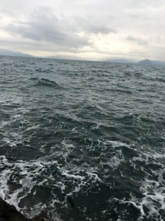 令和2年初釣果は⁈