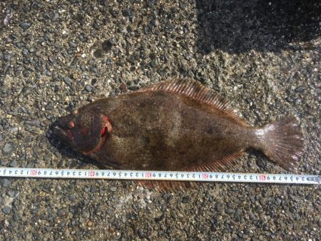 念願のブリゲット