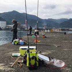 特大40cmカマス!