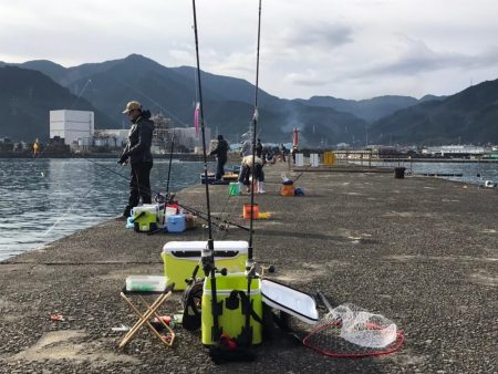 特大40cmカマス!