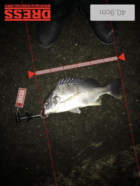 1月15日シェイクでキャッチ