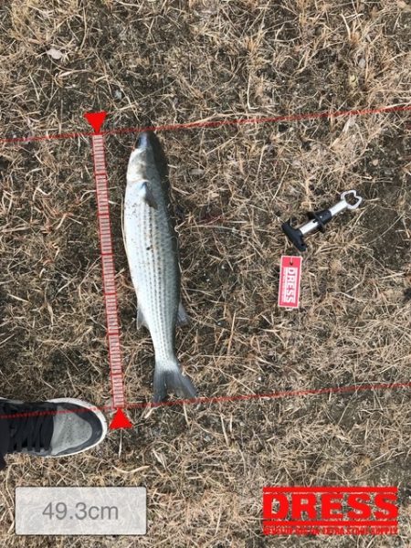 今年の初釣り　1月9日