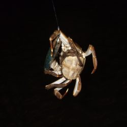 寒さに耐えて1バイトをものに