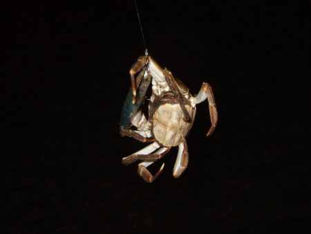 寒さに耐えて1バイトをものに