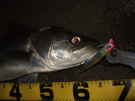 徐々に戻りだしたかな