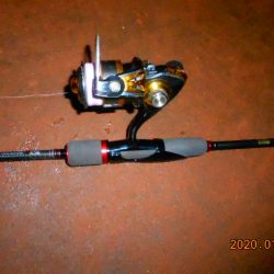 人生初メバル‼