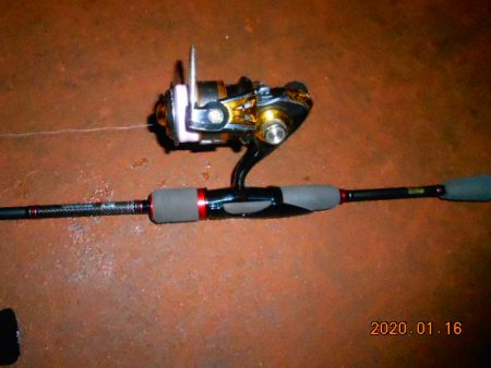 人生初メバル‼