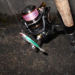 これから厳しくなりそう…。