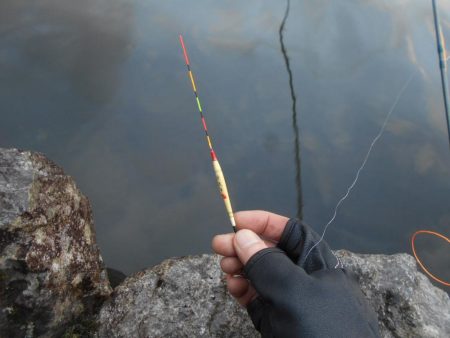 千早川マス釣り場でフライフィッシング