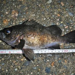 今日も荒れてます