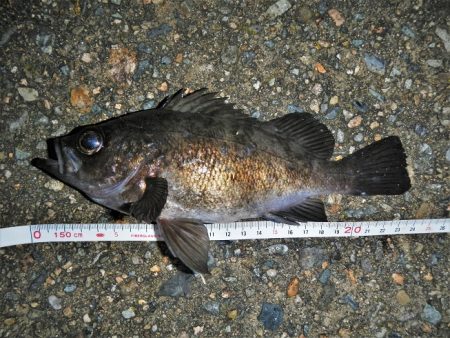 今日も荒れてます