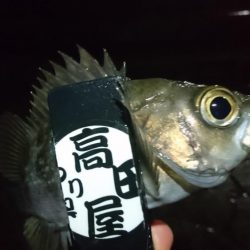 短時間勝負！！