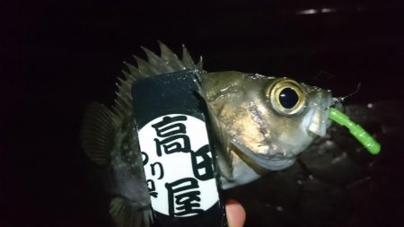 短時間勝負！！