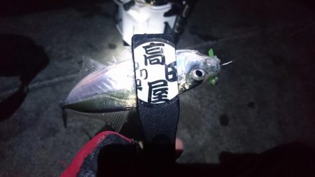 やっぱりアジ！！